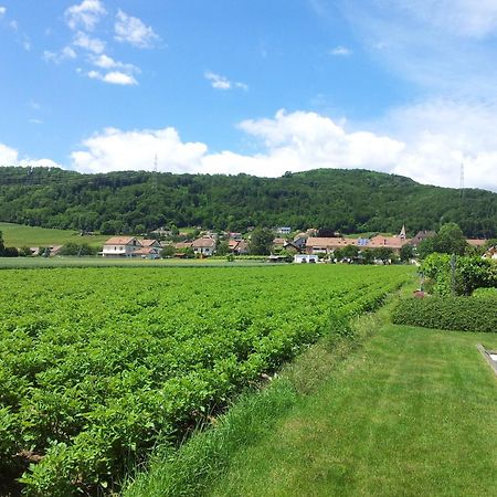 Au Coeur Du Vignoble Sur Bursins Bed & Breakfast Dış mekan fotoğraf